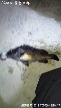 クロソイ