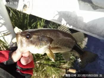 顼ޥ