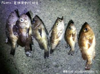 メバル