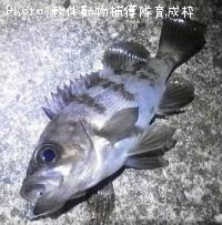 Х