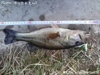 顼ޥ