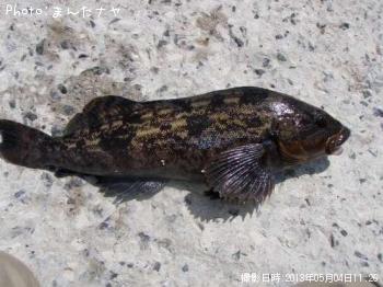 ʥ