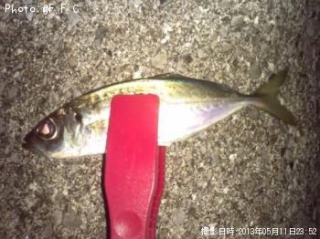 アジ