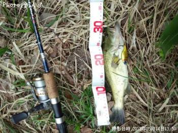 顼ޥХ
