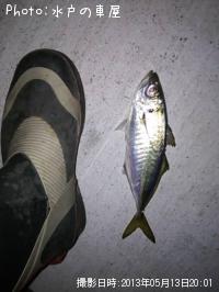 アジ