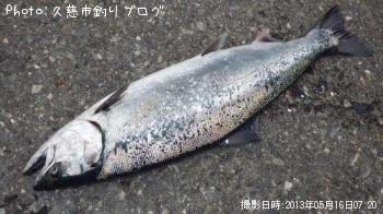 サクラマス