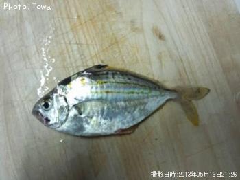 ҥ饮