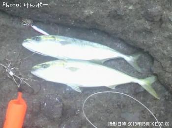 イナダ