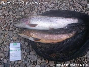 롩