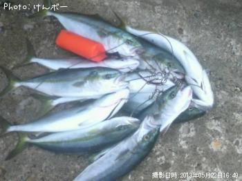 ʥ