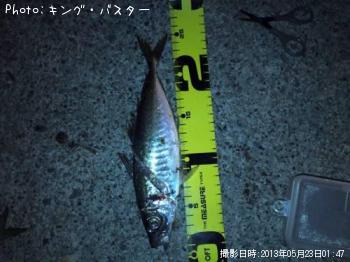 アジ