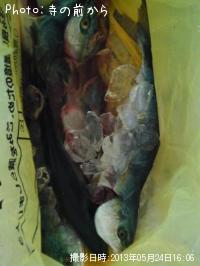 イナダ