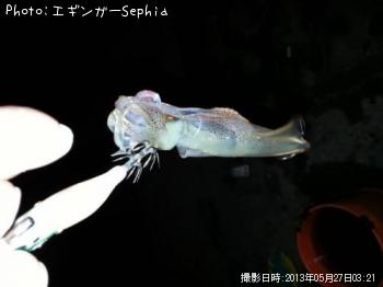 ҥ