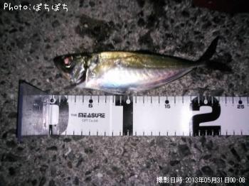 アジ