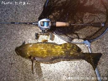 アイナメ