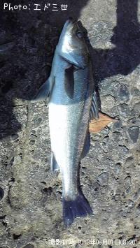 Х