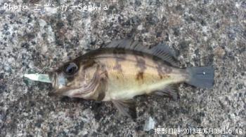 Ф