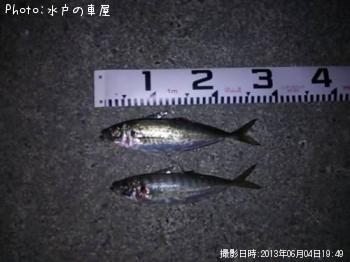 アジ