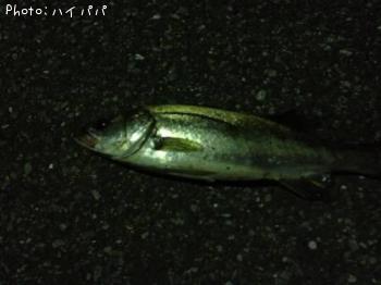 Х
