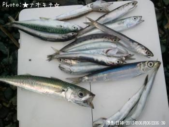 Сޥᡢ