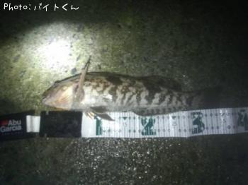 ʥ