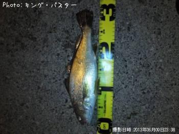イシモチ