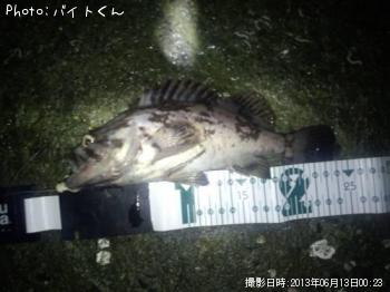 クロソイ