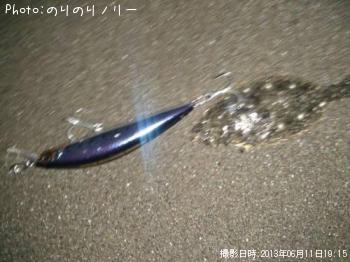 コッパソゲ