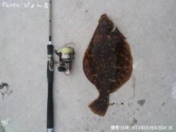 カレイ