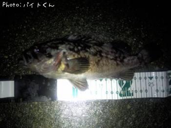 クロソイ