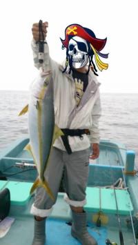 ヒラマサ