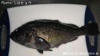 クロソイ