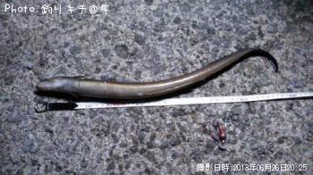 ϥʥޥʥ