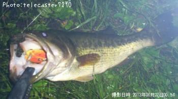 ブラックバス