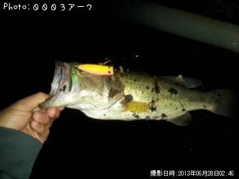 ブラックバス