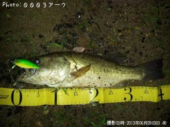 ブラックバス