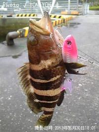 ハタ