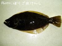 ҥ