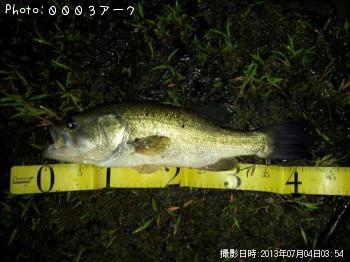 ブラックバス