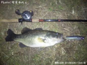 ブラックバス