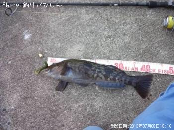 ʥ