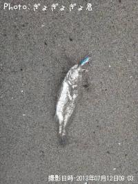 イシモチ