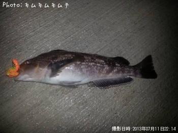 ʥ