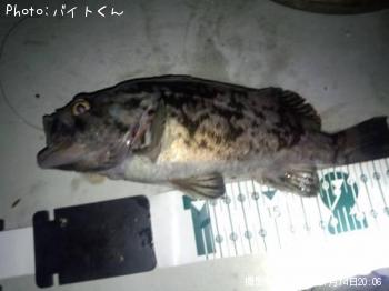 クロソイ