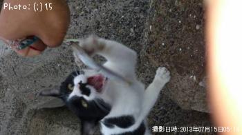 ޤ