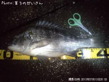 チヌ