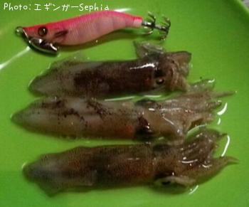 ヒイカ