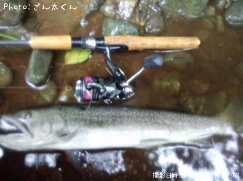 イワナ