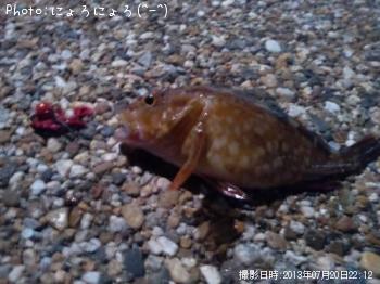 ガッシー君