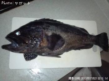ソイ